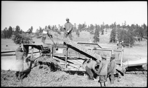 Historical black-and-white photo of workers operating a vintage harvesting machine in a field.