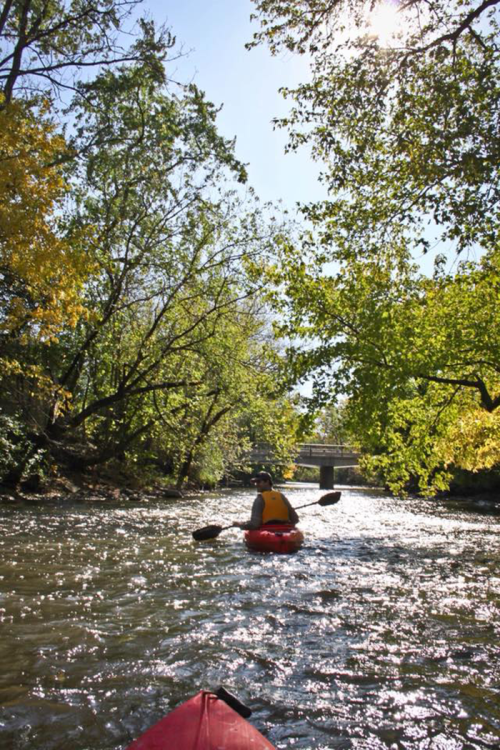 A person kayaking on a sunlit river surrounded by lush green trees and autumn foliage.