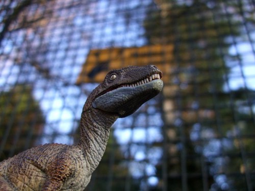 A close-up of a dinosaur figurine with a textured surface, set against a blurred background of a fence and trees.