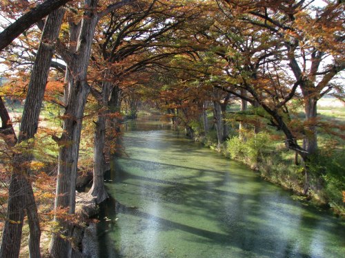 A serene river flows through a forest with autumn-colored trees lining the banks, reflecting the peaceful landscape.
