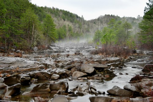 A misty river flows over rocky terrain, surrounded by lush green trees and a foggy, overcast sky.