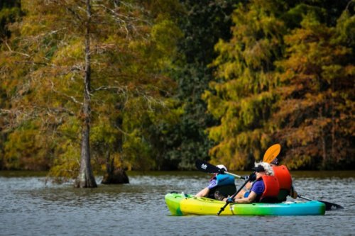 Two people kayaking on a calm lake surrounded by colorful autumn trees.