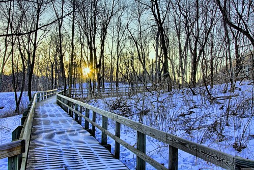 A snowy boardwalk winds through a forest at sunset, with bare trees silhouetted against a colorful sky.