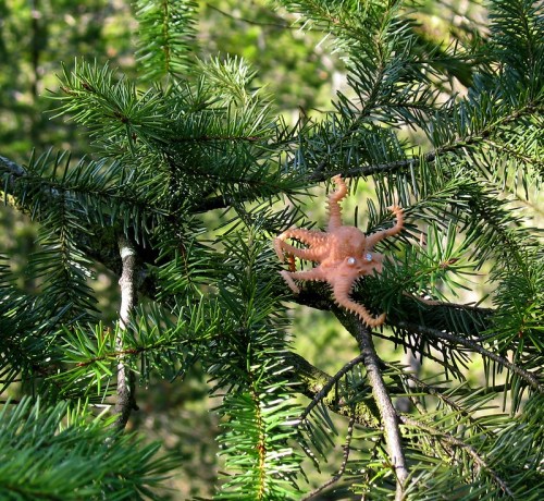 A small, pink octopus perched among green pine tree branches.