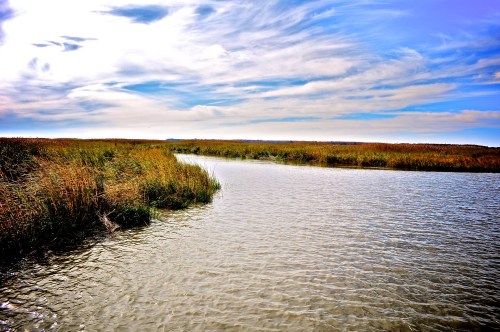 A serene landscape featuring a winding waterway surrounded by tall grasses under a blue sky with wispy clouds.