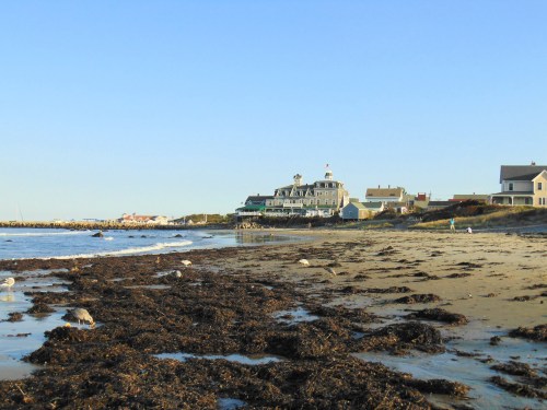 A beach scene with seaweed on the shore, featuring a hotel and houses in the background under a clear blue sky.