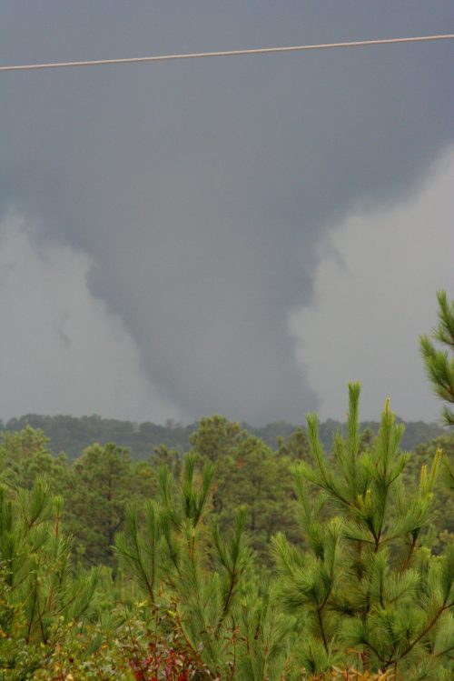 A dark tornado descends from stormy clouds above a forest of green pine trees.