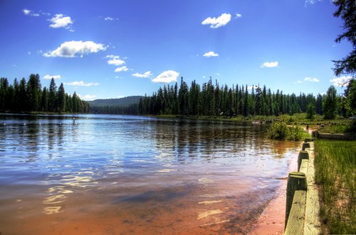 A serene lake surrounded by lush trees under a bright blue sky with fluffy clouds, reflecting the landscape in the water.