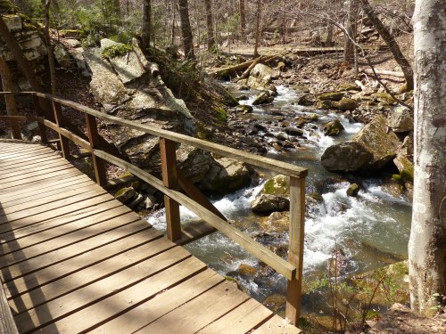 A wooden bridge over a flowing stream surrounded by rocky terrain and trees in a serene forest setting.