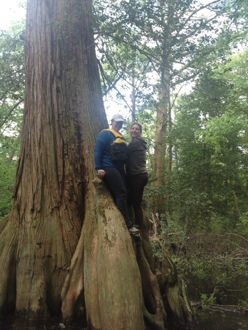 Two women stand on the base of a large tree in a lush, green forest, surrounded by dense foliage.