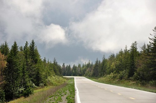 A winding road through a lush green forest under a cloudy sky.