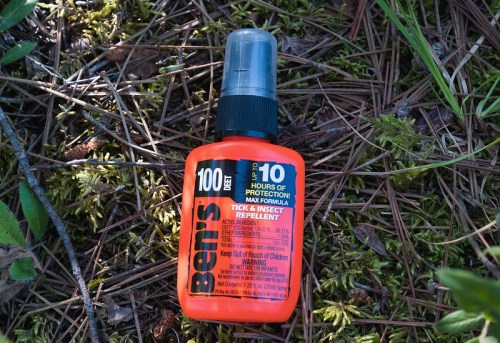 A bottle of Ben's 100 DEET tick and insect repellent lying on pine needles and grass.