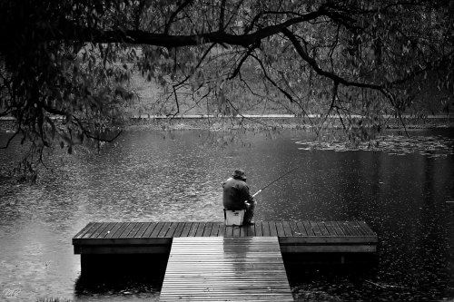 A person fishing alone on a wooden dock, surrounded by a tranquil lake and overhanging trees, in black and white.