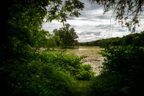 A serene view of a lake surrounded by lush greenery and trees under a cloudy sky.