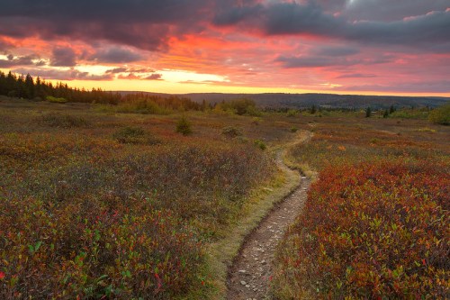 A winding path through a colorful landscape at sunset, with vibrant clouds and a forest in the background.