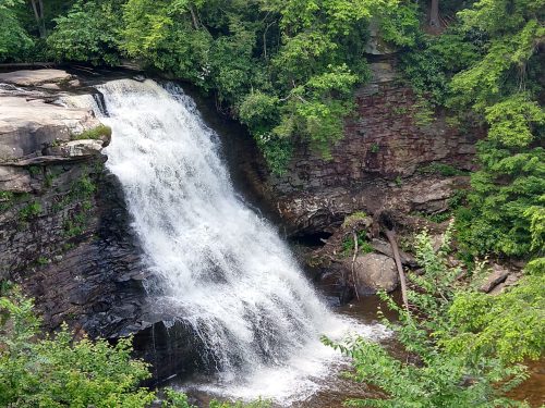 A cascading waterfall flows over rocky cliffs, surrounded by lush green trees and foliage.
