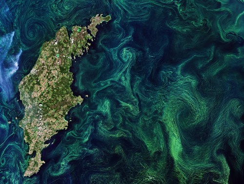Aerial view of an island surrounded by swirling green waters, showcasing vibrant aquatic patterns and lush land.