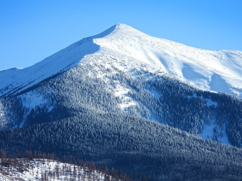 Snow-covered mountain peak against a clear blue sky, surrounded by dense evergreen forests.