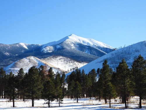 Snow-covered mountains rise against a clear blue sky, with evergreen trees in the foreground.
