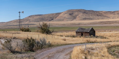 A rustic wooden cabin beside a windmill, set against rolling hills and golden grasslands under a clear blue sky.