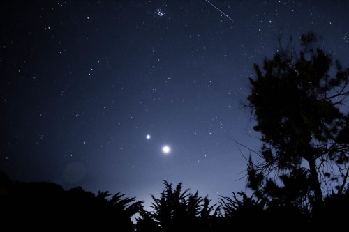 A night sky filled with stars, featuring two bright celestial bodies and silhouetted trees in the foreground.