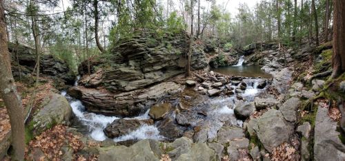 A serene forest scene featuring a flowing stream, rocky terrain, and lush greenery.