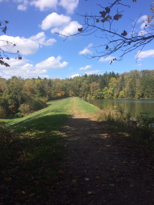 A serene path along a lake, surrounded by trees and vibrant autumn foliage under a blue sky with fluffy clouds.