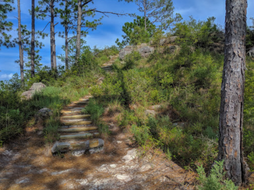 A winding stone path leads up a hillside surrounded by trees and greenery under a blue sky.