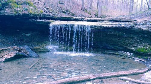 A serene waterfall cascading over rocks into a calm pool, surrounded by trees in a tranquil forest setting.