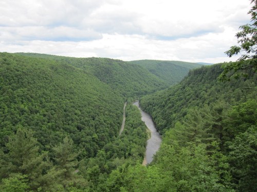 A lush green valley with a winding river, surrounded by dense trees under a cloudy sky.