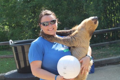 A woman in a blue shirt holds a sloth while smiling, with a volleyball in her other hand, outdoors.