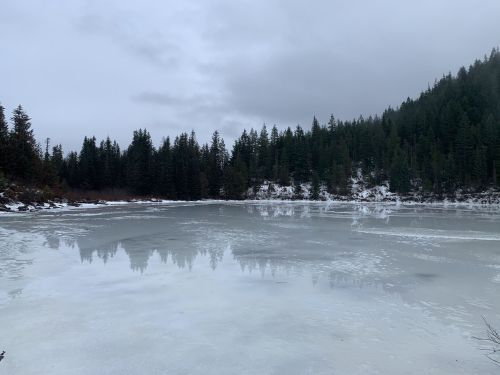 A frozen lake surrounded by evergreen trees under a cloudy sky. Reflections of trees are visible on the icy surface.