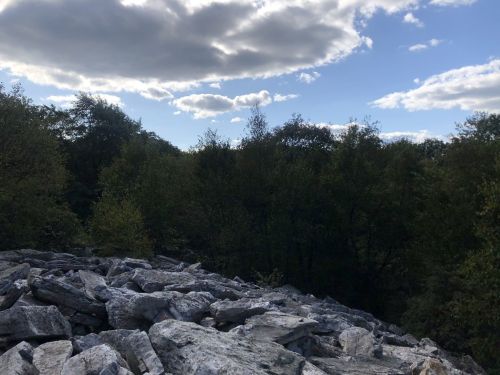 A rocky landscape with scattered stones in the foreground and a forest under a partly cloudy sky in the background.