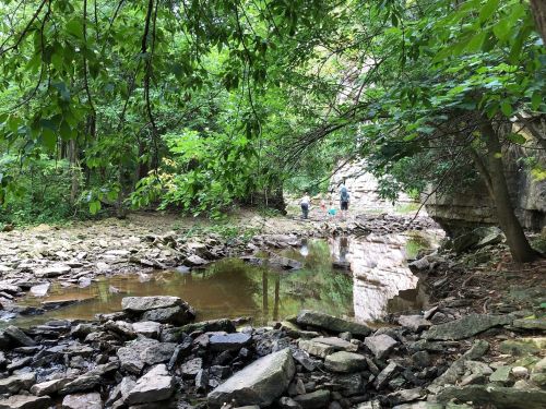 A serene forest scene with a small group of people exploring a rocky area near a calm pool of water.