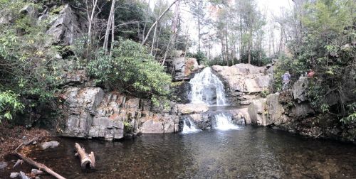 A serene waterfall cascades over rocks into a calm pool, surrounded by lush greenery and trees.