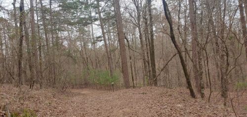 A winding trail through a wooded area with bare trees and fallen leaves on the ground.
