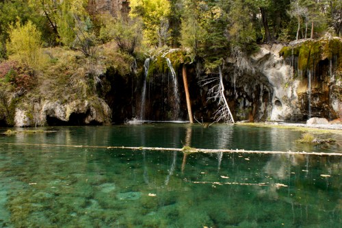 A serene natural scene featuring a clear pool of water with a small waterfall and lush greenery surrounding it.