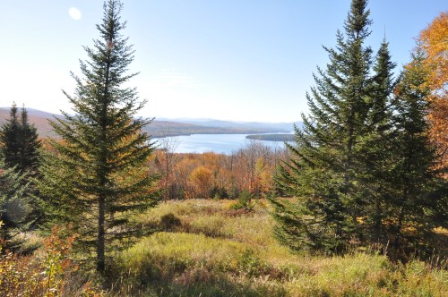 A scenic view of a lake surrounded by autumn foliage and evergreen trees under a clear blue sky.