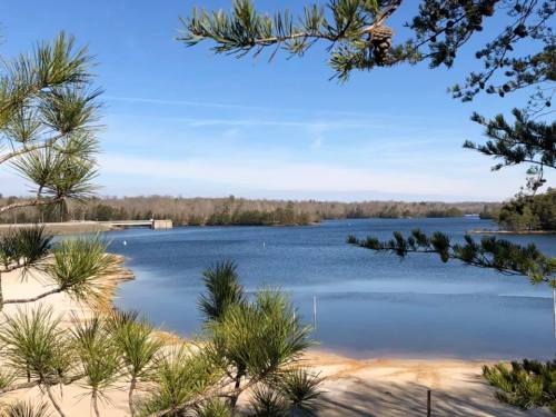 A serene lake surrounded by trees under a clear blue sky, with sandy shores and distant hills in the background.