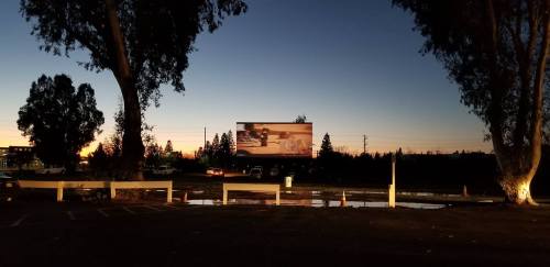 A billboard illuminated at dusk, surrounded by trees and parked cars, with a colorful sunset in the background.