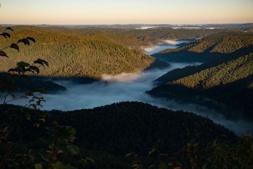 A misty valley surrounded by rolling green hills under a clear sky at sunrise.