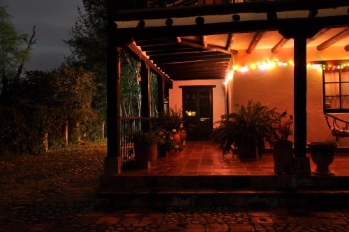 A cozy porch illuminated by string lights, surrounded by plants and a stone pathway, set in a nighttime scene.