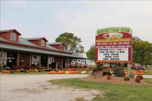 A farm with a red barn, pumpkins outside, and a sign advertising family activities and seasonal offerings.
