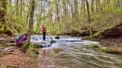 Two hikers explore a serene forest stream, with one standing on rocks and the other crouching by the water's edge.