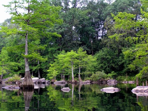 Lush green trees reflect in calm water, with rocks visible along the shoreline in a serene natural setting.