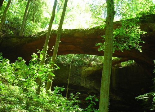 A natural stone arch surrounded by lush green trees and foliage in a forested area.