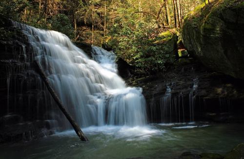A serene waterfall cascades over rocks, surrounded by lush greenery and trees in a tranquil forest setting.