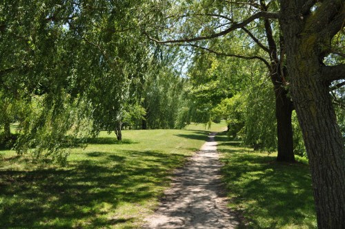 A serene path winding through a lush green park, lined with trees and dappled sunlight.