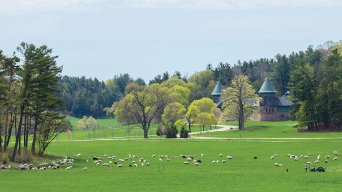 A lush green landscape with sheep grazing, trees in bloom, and a historic building in the background.