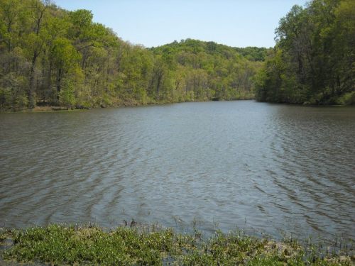 A serene lake surrounded by lush green trees under a clear blue sky. Gentle ripples on the water's surface.